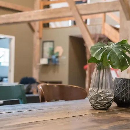 冒险公园公寓 公寓 *